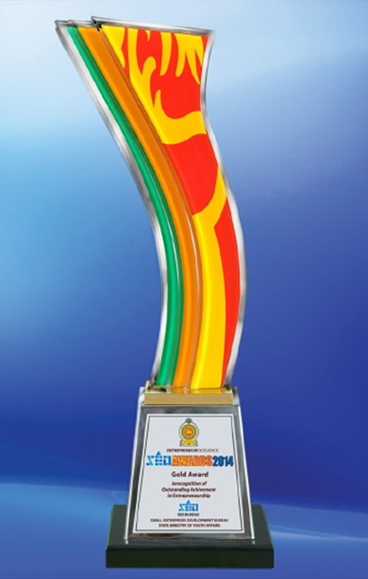 SED Awards - Gold Award